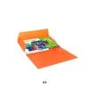 Capa El�sticos A4 Laranja 247X320mm