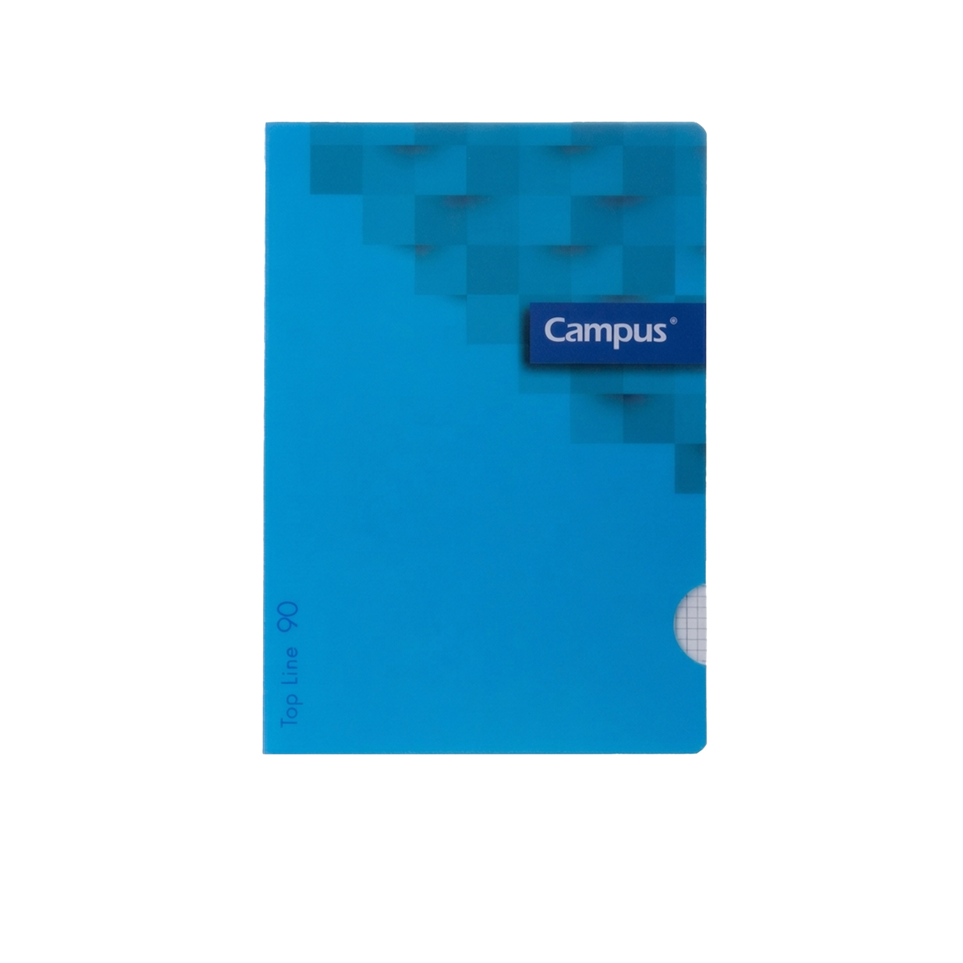 Caderno Agrafado Capa Plástica A4 48 Folhas Quadriculado 90g