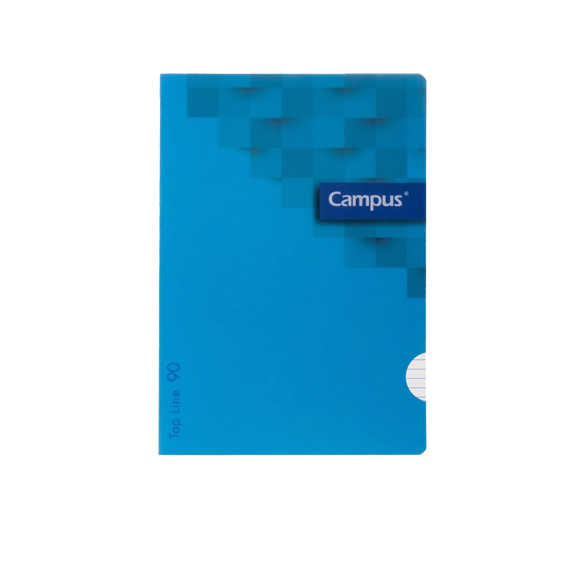 Caderno Agrafado Capa Plástica A4 48 Folhas Pautado 90g
