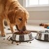 Comedouro Pet Inox �20cm