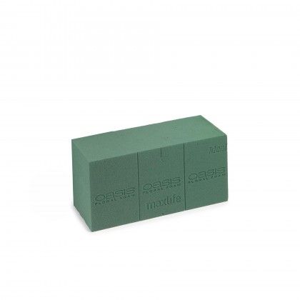 Esponja Natural Oasis 23X11X8cm Esponja Natural Oasis 23X11X8cm
