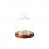 Camp�nula Base Madeira��15X18cm