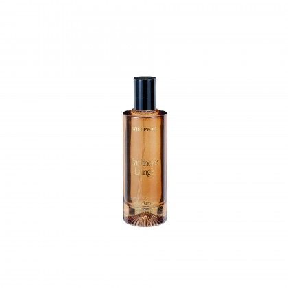 Frasco Vidro Ambientador Sortido 100ml 14X15cm