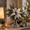 Haste Poinsetia Raiada 50cm