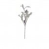 Haste Cineraria Flocada Com Pinhas 75cm