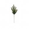 Haste Pinho 54cm